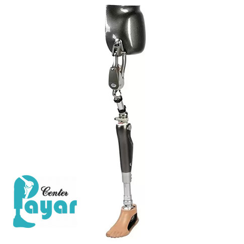 اجزای پروتز لگن
