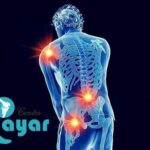 آرترودز یعنی چه؟⭐هر آنچه که درباره آرترودز باید بدانید