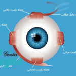 ساختار چشم انسان به زبان ساده [ هر آنچه که باید بدانید ]
