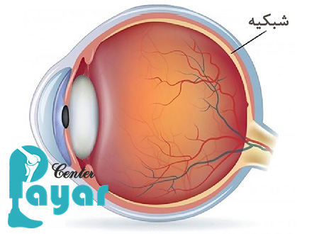 همه چیز در مورد چشم که باید بدانید